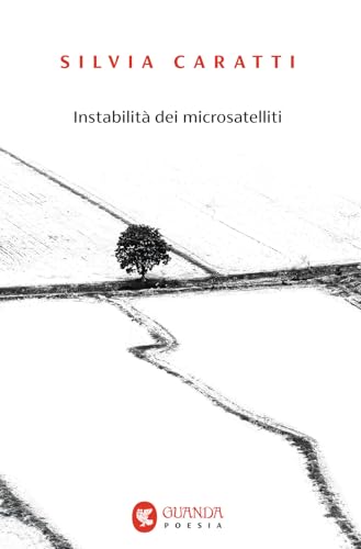 Instabilità dei microsatelliti (Guanda. Poesia) von Guanda