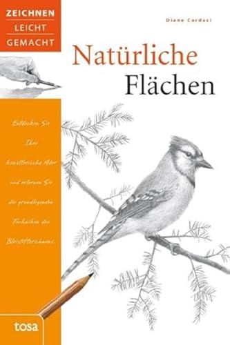 Natürliche Flächen: Zeichnen leicht gemacht von tosa GmbH