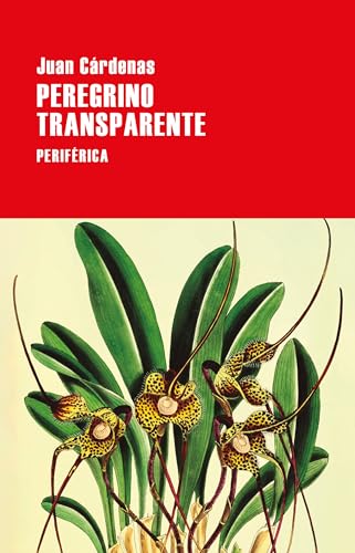 Peregrino transparente (Largo recorrido, Band 183) von Periférica