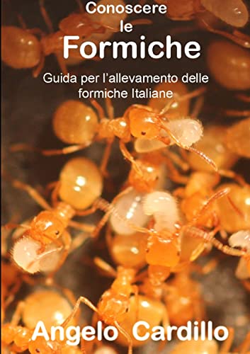 CONOSCERE LE FORMICHE von Lulu