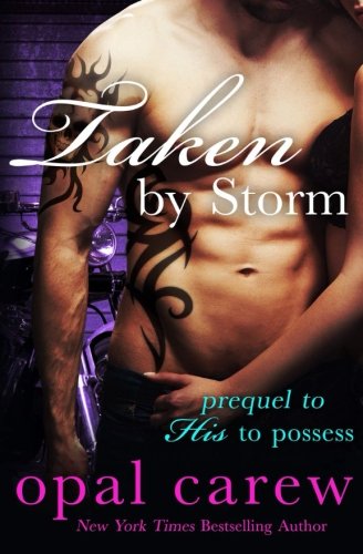 Taken By Storm von Opal Carew