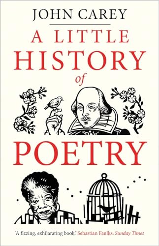 Little History of Poetry (Little Histories)