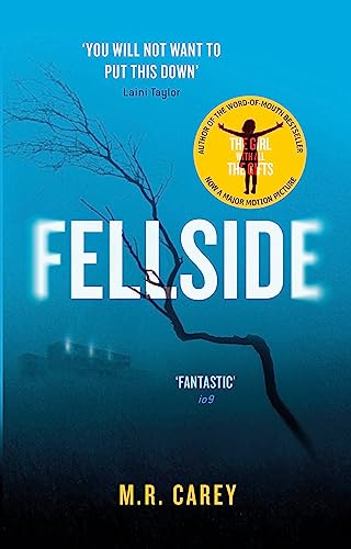 Fellside von Orbit