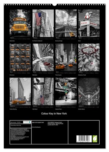 Colour Key in New York (hochwertiger Premium Wandkalender 2025 DIN A2 hoch), Kunstdruck in Hochglanz von CALVENDO