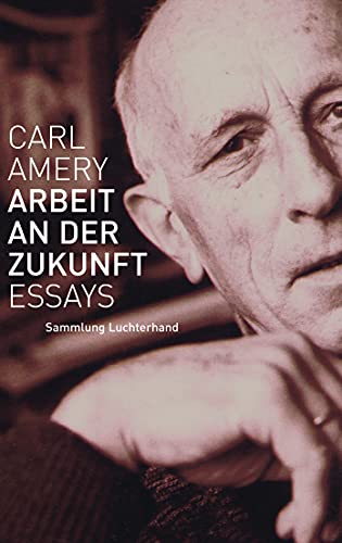 Arbeit an der Zukunft: Essays