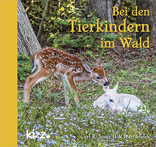 Bei den Tierkindern im Wald von Kerle Verlag