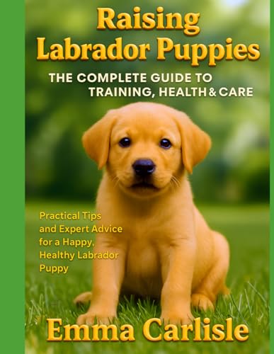 Raising Labrador Puppies: The Complete Guide to Training, Health & Care: Practical Tips and Expert Advice for a Happy, Healthy Labrador Puppy (Your dog in a nutshell) von Independently published