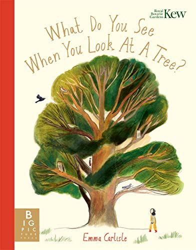 What Do You See When You Look At a Tree? von Big Picture Press