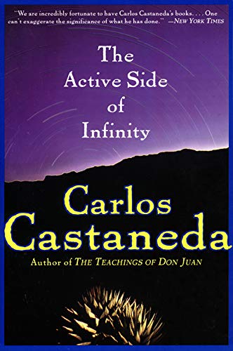 The Active Side of Infinity The Active Side of Infinity von Harper Perennial