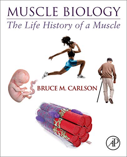 Muscle Biology: The Life History of a Muscle von Academic Press