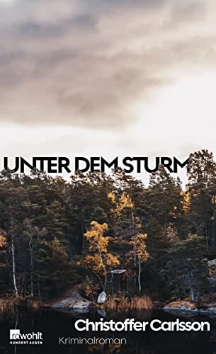 Unter dem Sturm: Kriminalroman | Die Nummer 1 aus Schweden
