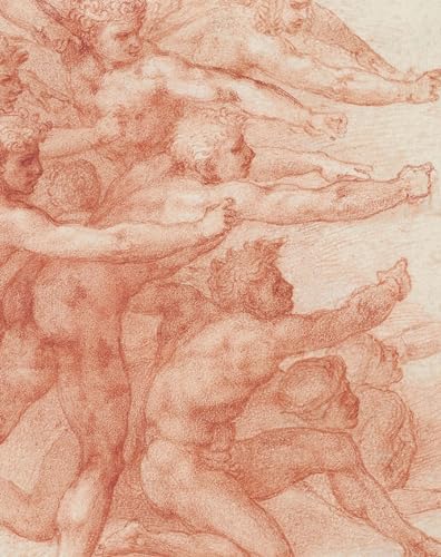 Michelangelo - Divine Draftsman and Designer (Metropolitan Museum of Art (MAA) (YUP))