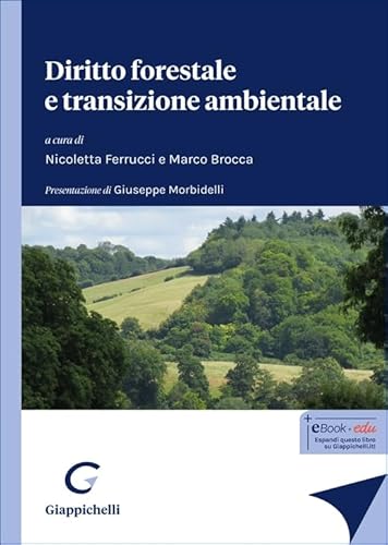 Diritto forestale e transizione ambientale von Giappichelli