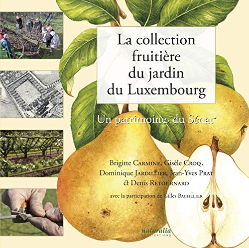 La collection fruitière du jardin du Luxembourg: Un patrimoine du Sénat von NATURALIA