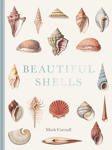 Beautiful Shells: George Perry's Conchology Beautiful Shells: George Perry's Conchology von Bodleian Library