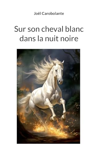 Sur son cheval blanc dans la nuit noire von BoD – Books on Demand – Frankreich