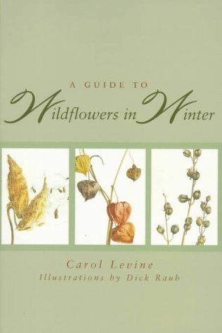 A Guide to Wildflowers in Winter: Herbaceous Plants of Northeastern North America von YALE UNIV PR