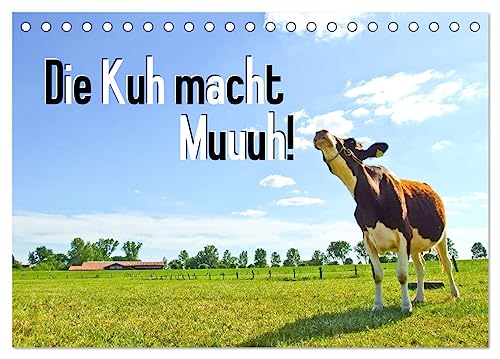 Die Kuh macht Muuuh! (Tischkalender 2024 DIN A5 quer), CALVENDO Monatskalender von CALVENDO