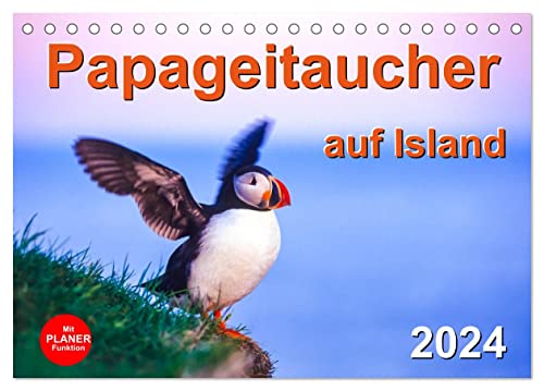 Papageitaucher auf Island (Tischkalender 2024 DIN A5 quer), CALVENDO Monatskalender von CALVENDO