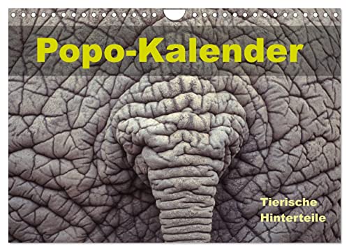 Popo-Kalender (Wandkalender 2024 DIN A4 quer), CALVENDO Monatskalender von CALVENDO