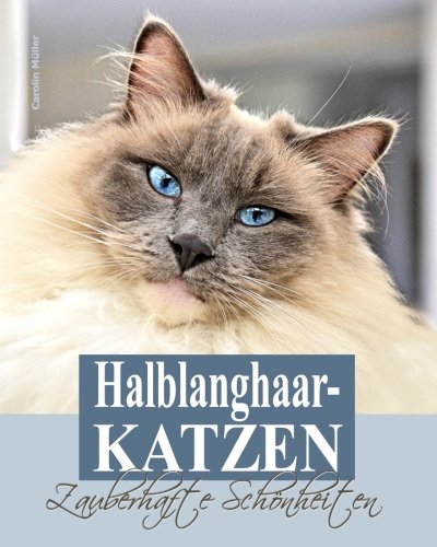 Halblanghaarkatzen: Zauberhafte Schönheiten