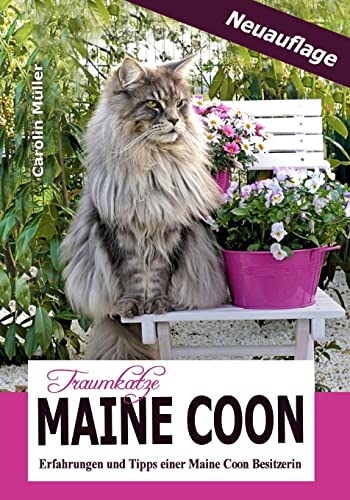 Traumkatze Maine Coon - Erfahrungen und Tipps einer Maine Coon Besitzerin