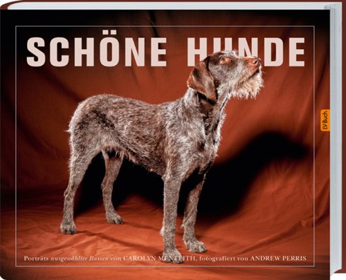 Schöne Hunde