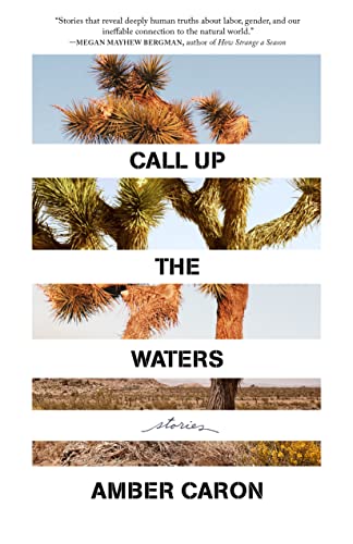 Call Up the Waters: Stories von Milkweed Editions