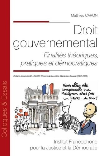 Droit gouvernemental: Finalités théoriques, pratiques et démocratiques (Tome 189) von IFJD