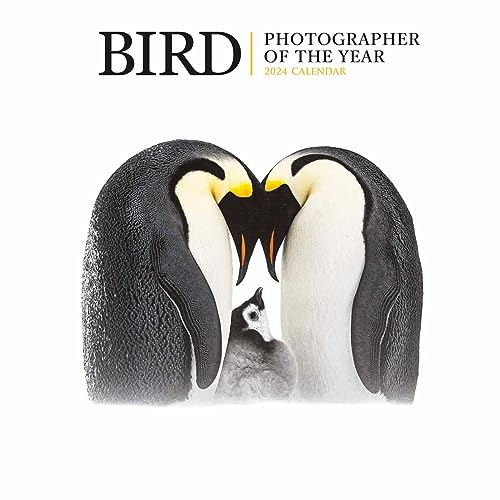 Bird – Photographer of the Year – Vögel – Fotografen des Jahres 2024: Original Carousel-Kalender [Mehrsprachig] [Kalender] (Wall-Kalender) von Brown Trout-Auslieferer Flechsig