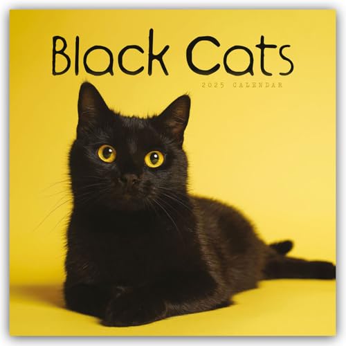 Black Cats – Schwarze Katzen 2025 – Wand-Kalender: Original Carousel-Kalender [Mehrsprachig] [Kalender] (Wall-Kalender)