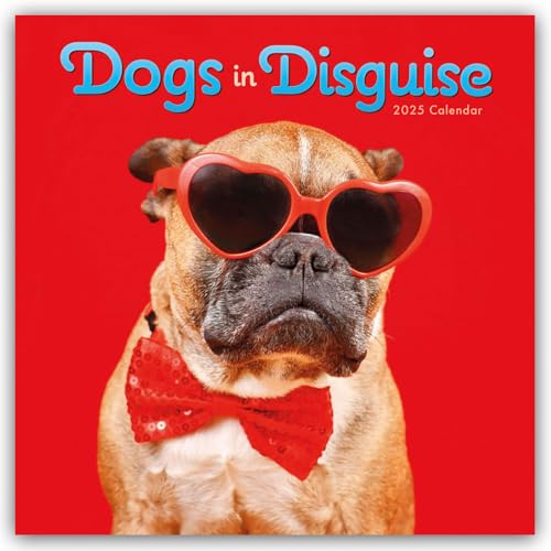 Dogs in Disguise – Verkleidete Hunde – Hunde in Verkleidung 2025 – Wand-Kalender: Original Carousel-Kalender [Mehrsprachig] [Kalender] (Wall-Kalender) von Carousel Calendars