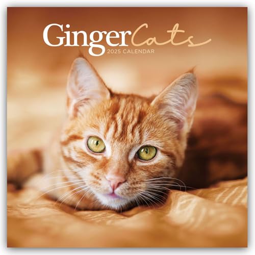 Ginger Cats – Rothaarige Katzen 2025 – Wand-Kalender: Original Carousel-Kalender [Mehrsprachig] [Kalender] (Wall-Kalender)