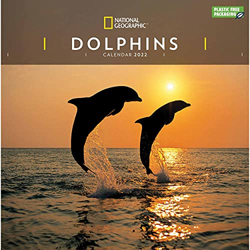 National Geographic Dolphins – Delfine 2022: Original Carousel-Kalender [Mehrsprachig] [Kalender] (Wall-Kalender) von Brown Trout-Auslieferer Flechsig