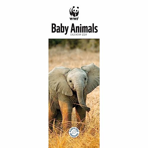 WWF Baby Animals – Tierjunge – Tierbabys 2024: Original Carousel Kalender – Slimline [Mehrsprachig] [Kalender] (Slimline-Kalender) von Carousel Calendars