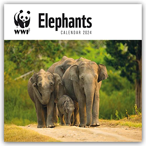 WWF Elephants – Elefanten 2024: Original Carousel-Kalender [Mehrsprachig] [Kalender] (Wall-Kalender) von Brown Trout-Auslieferer Flechsig