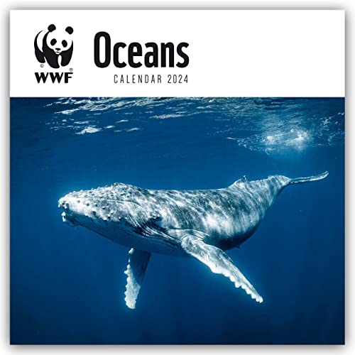 WWF Oceans – Meere – Ozeane – Weltmeere 2024: Original Carousel-Kalender [Mehrsprachig] [Kalender] (Wall-Kalender) von Brown Trout-Auslieferer Flechsig