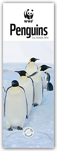 WWF Penguins – Pinguine 2024 – Slimline-Kalender: Original Carousel Calendar [Mehrsprachig] [Kalender] von Brown Trout-Auslieferer Flechsig