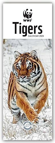 WWF Tigers – Tiger 2024 – Slimline-Kalender: Original Carousel Calendar [Mehrsprachig] [Kalender]