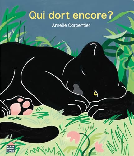 Qui dort encore ? von ALBIN MICHEL