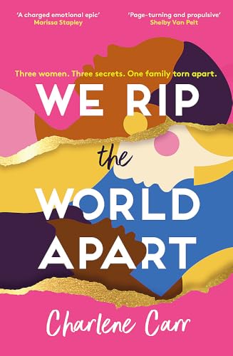We Rip the World Apart: A sweeping story about motherhood, race and secrets von Mountain Leopard Press