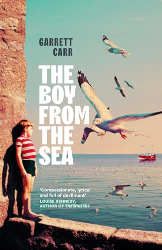The Boy from the Sea: the heart-wrenching story of a family you won't want to leave behind von Picador
