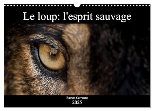 Le loup: l'esprit sauvage (Calendrier mural 2025 DIN A3 vertical), CALVENDO calendrier mensuel: Des images incroyables de loups von Calvendo