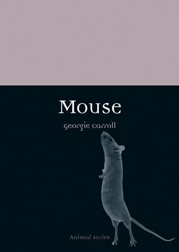 Mouse (Animal)