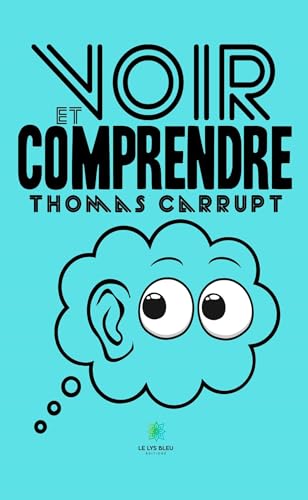 Voir et comprendre