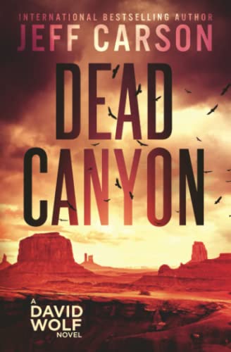 Dead Canyon (David Wolf Mystery Thriller Series, Band 16)