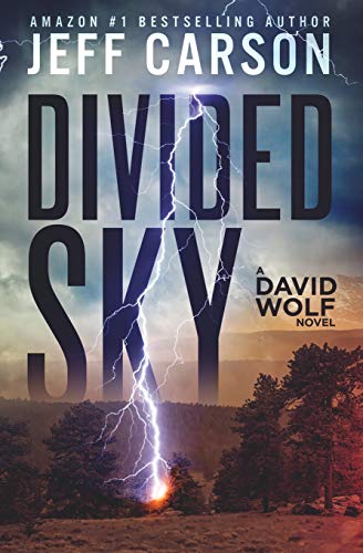 Divided Sky (David Wolf Mystery Thriller Series, Band 13)