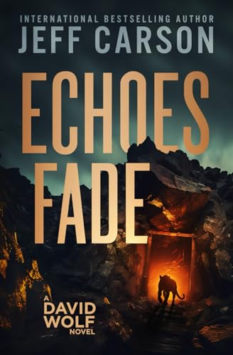 Echoes Fade (David Wolf Mystery Thriller Series, Band 17) von Independently published