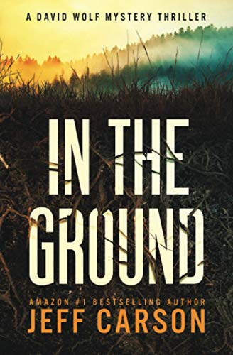 In the Ground (David Wolf Mystery Thriller Series, Band 14) von Independently published