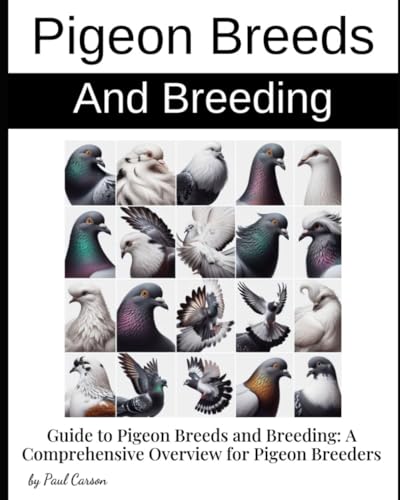 Guide to Pigeon Breeds and Breeding: A Comprehensive Overview for Pigeon Breeders von Independently published